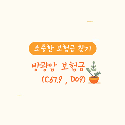 방광암 보험금(C67.9, D09)