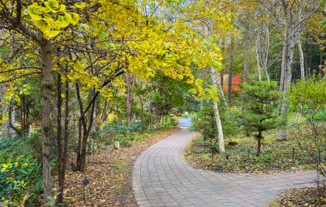 가을 아침고요수목원