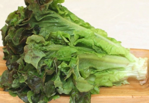 자주 묻는 질문 FAQ