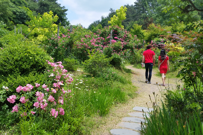 특색있고 아름다운 민간 정원 30선 추천 여행 - 22. 담양 죽화경