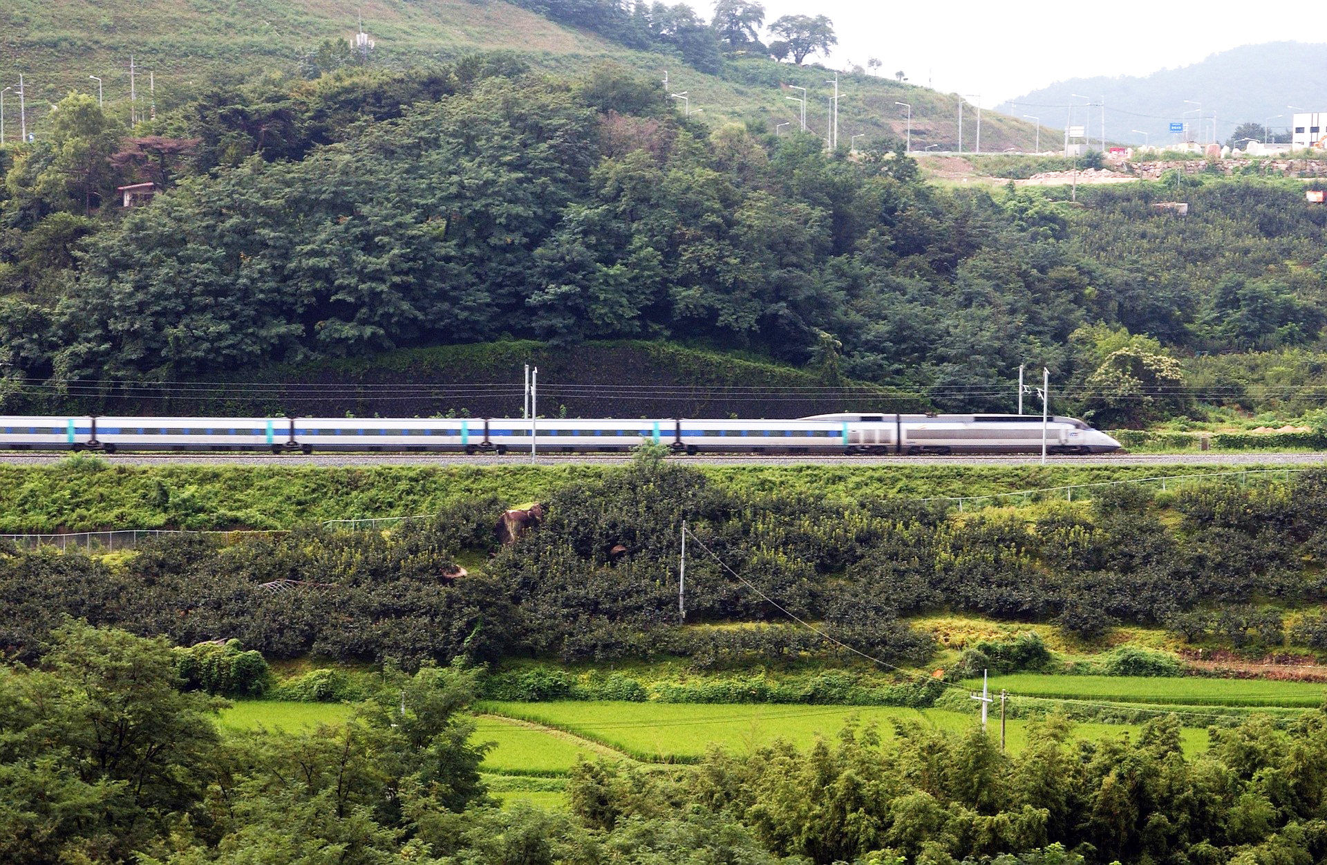 숙바세일 페스타&amp;#44; 숙박할인원&amp;#44; 문화체육관광부&amp;#44; 2025&amp;#44; 여름