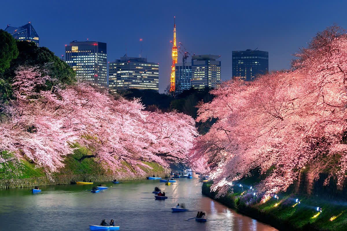 도쿄 치도리가후치 료쿠도