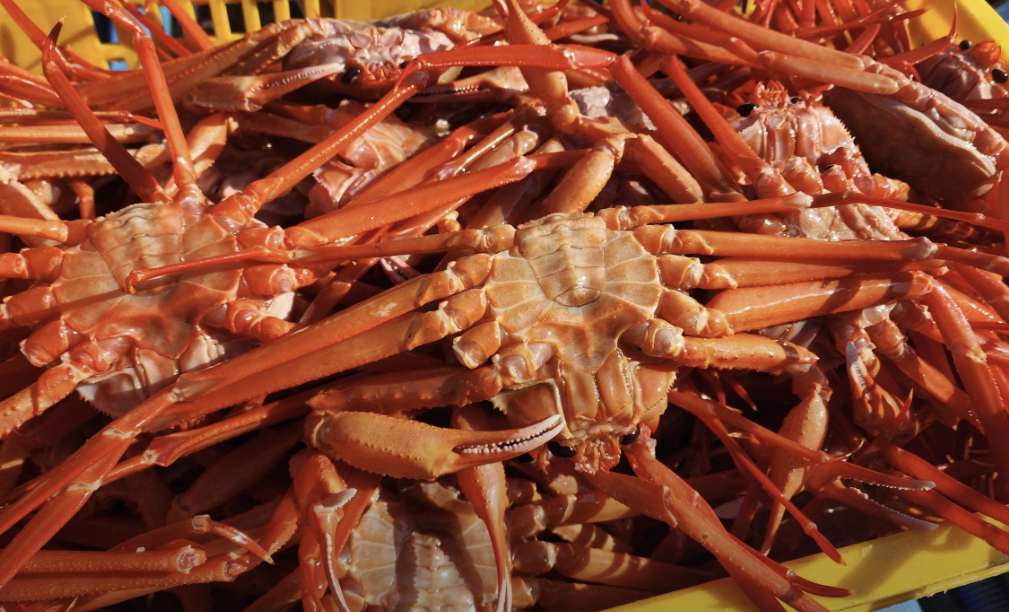 영덕 강구항 제철 수산물 맛집 &#124; 6시 내고향 방송 나온 해상회식당