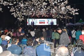 울주작천정 벚꽃축제 기본일정과 프로그램 소개