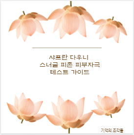 샤프란 다우니 스너글 피존 피부자극 테스트 가이드