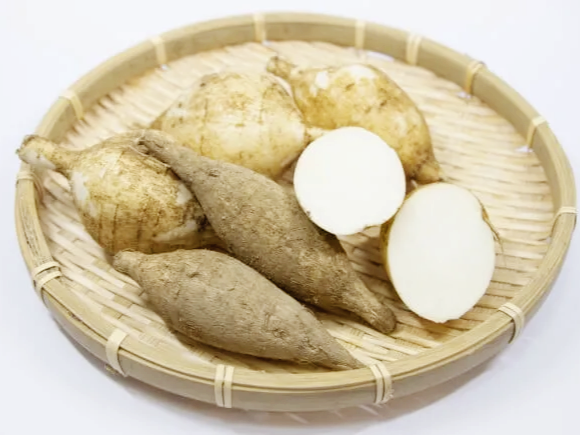 히카마