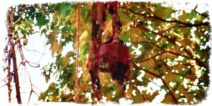 내가 얼마나 배가 고팠는지 모른다