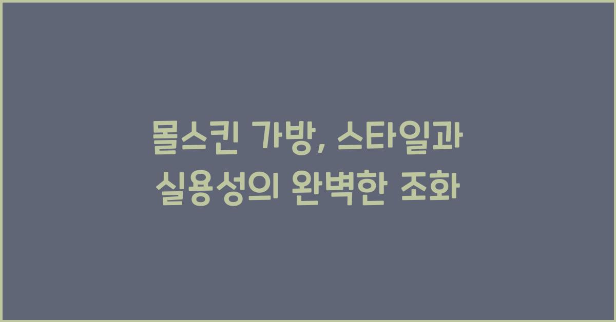 몰스킨 가방