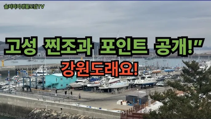 낚시 포인트 추천 강원도 계곡 물때 시간대 장비 준비법_6