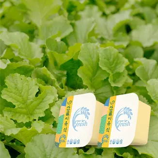 에코맘의산골이유식 살펴보기 4