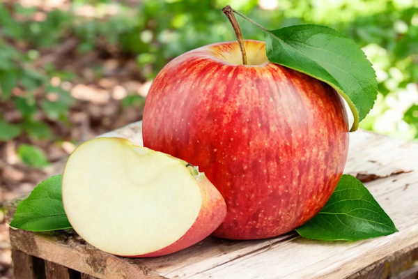 하루 한개 사과