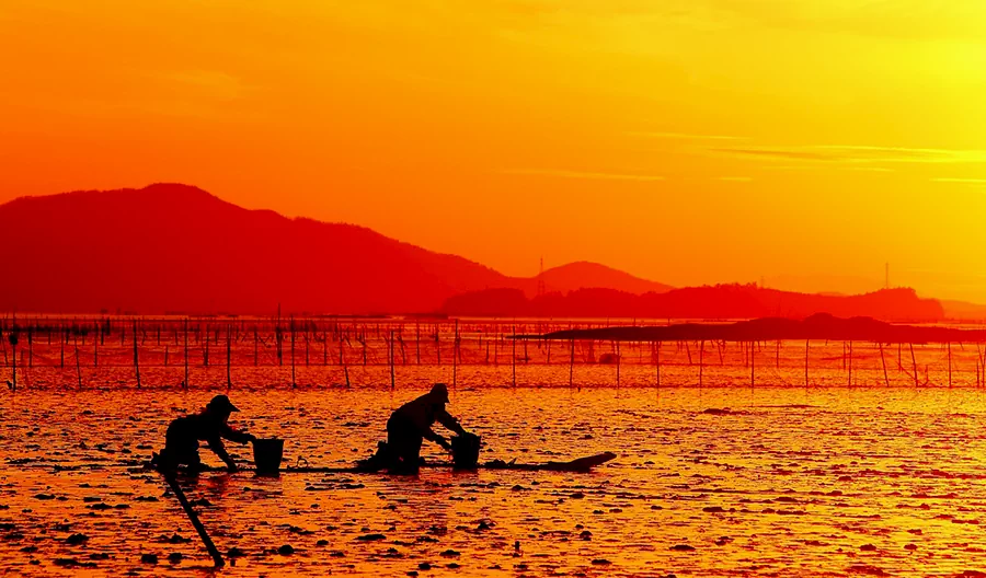 농어민 공익수당 신청 방법 조건 알아보기 ㅣ 지원대상, 금액, 신청기간 한눈에