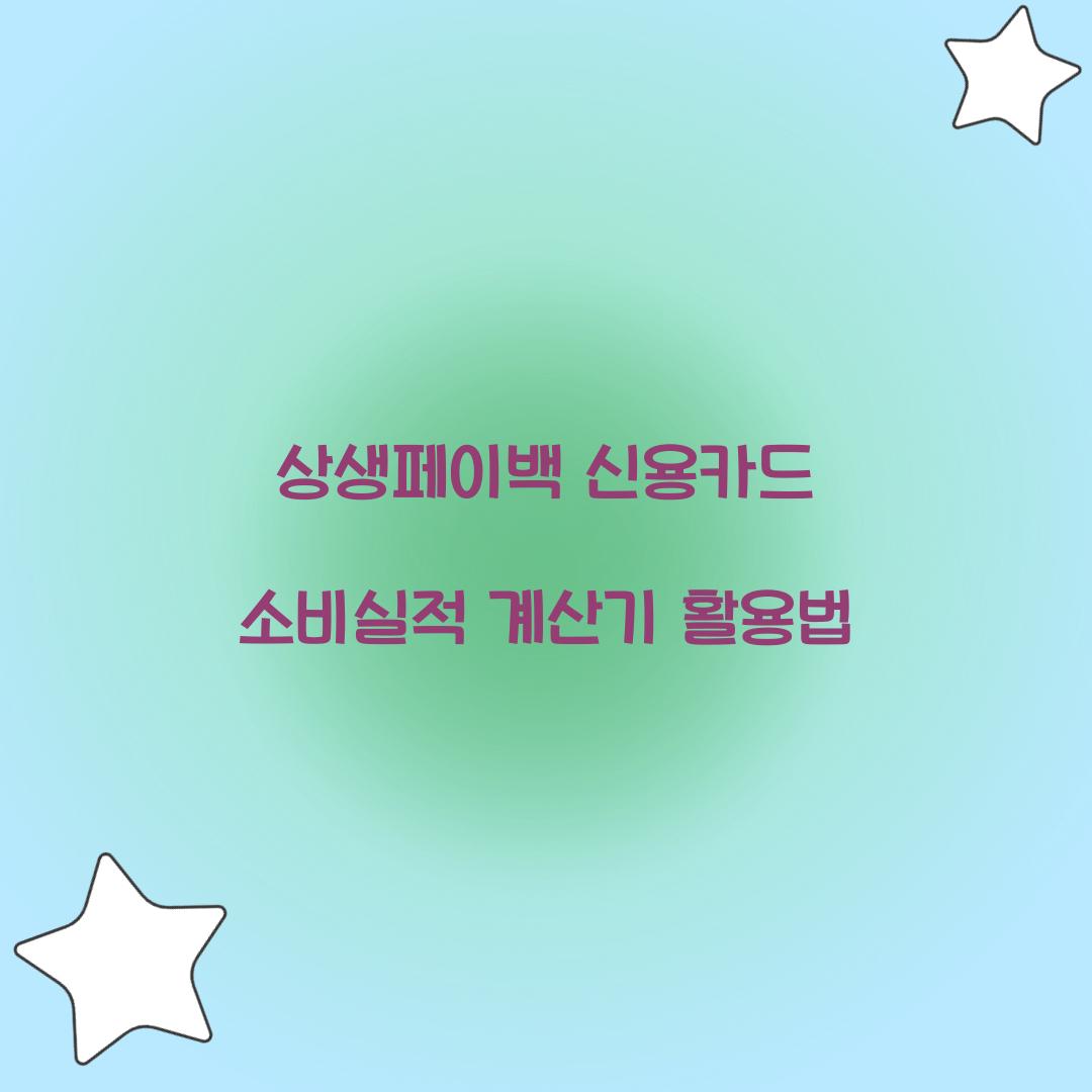 상생페이백 신용카드 소비실적 계산기 활용법