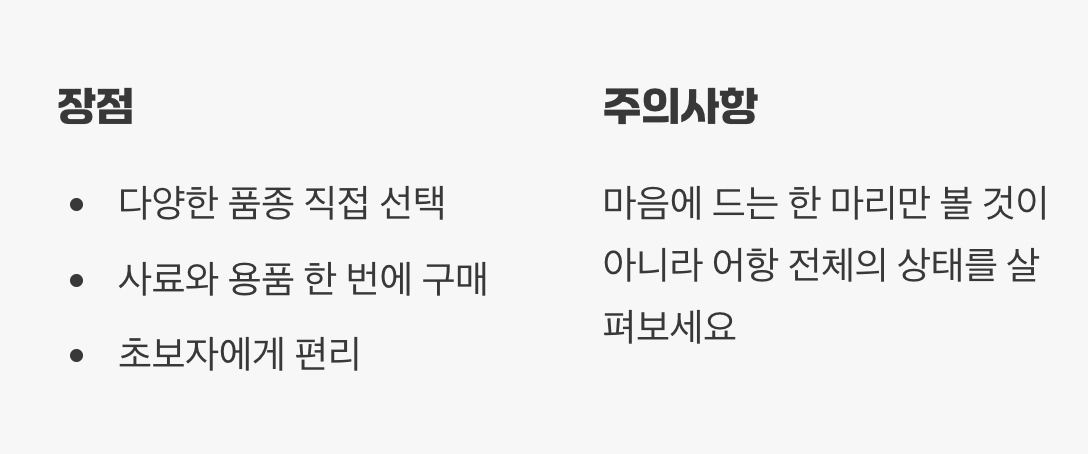 가장 일반적인 선택, 수족관