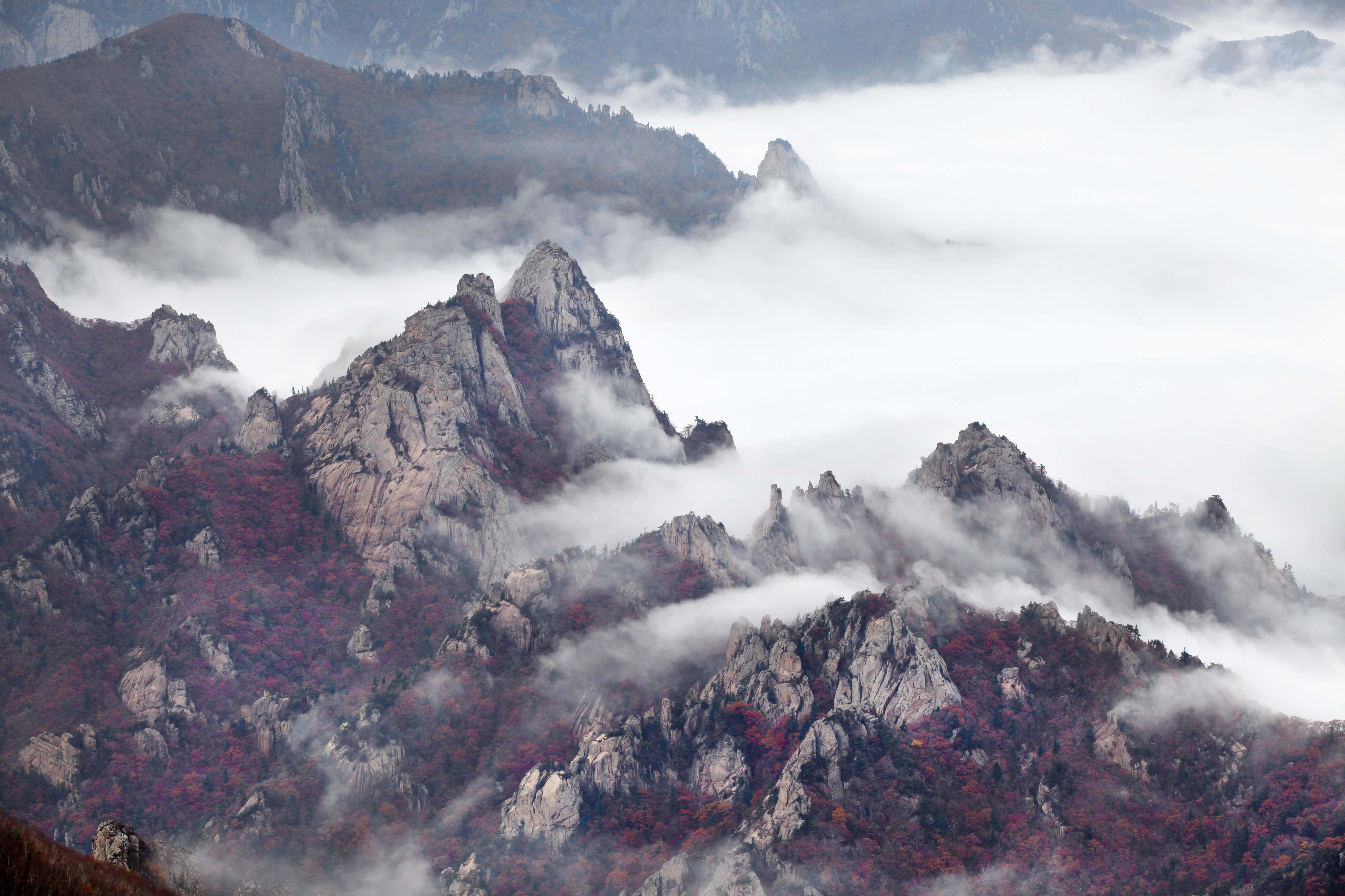 국립공원 산행정보 앱