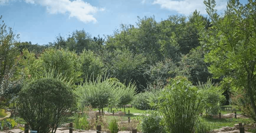 대부도 가볼만한곳 베스트10