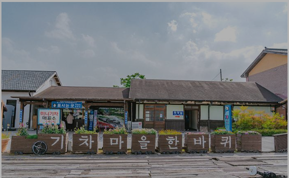 곡성 장미축제 기간