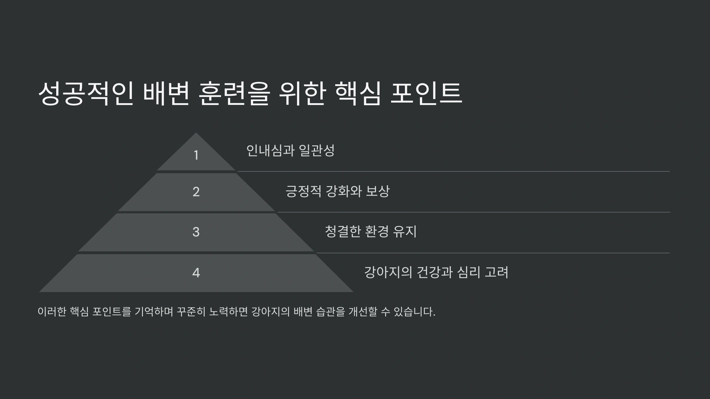 강아지가 배변 패드 근처에만 배변하는 이유