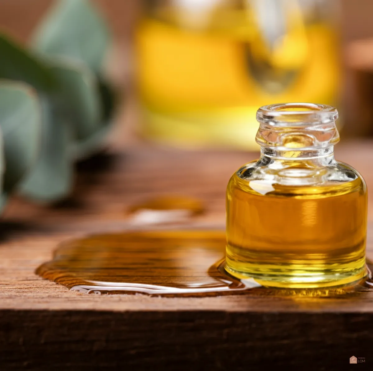 유칼립투스-오일02