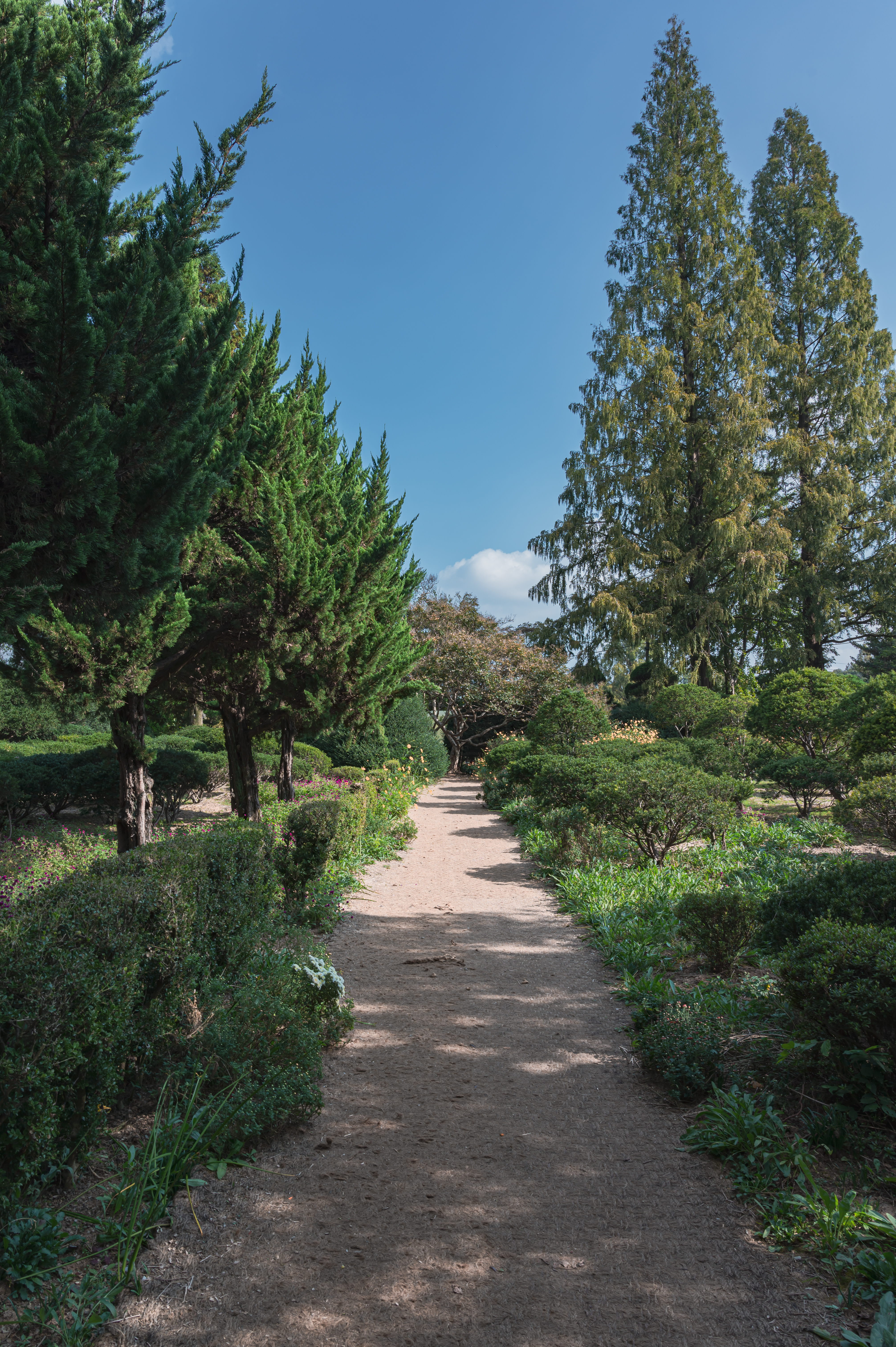 ์๊ฐํ ์ ์