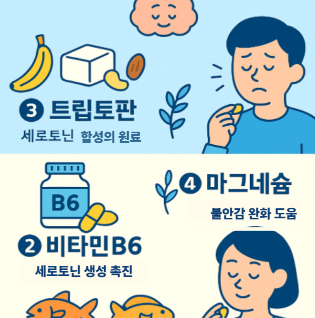 불안과 긴장을 완화하는 세로토닌 영양 밸런스