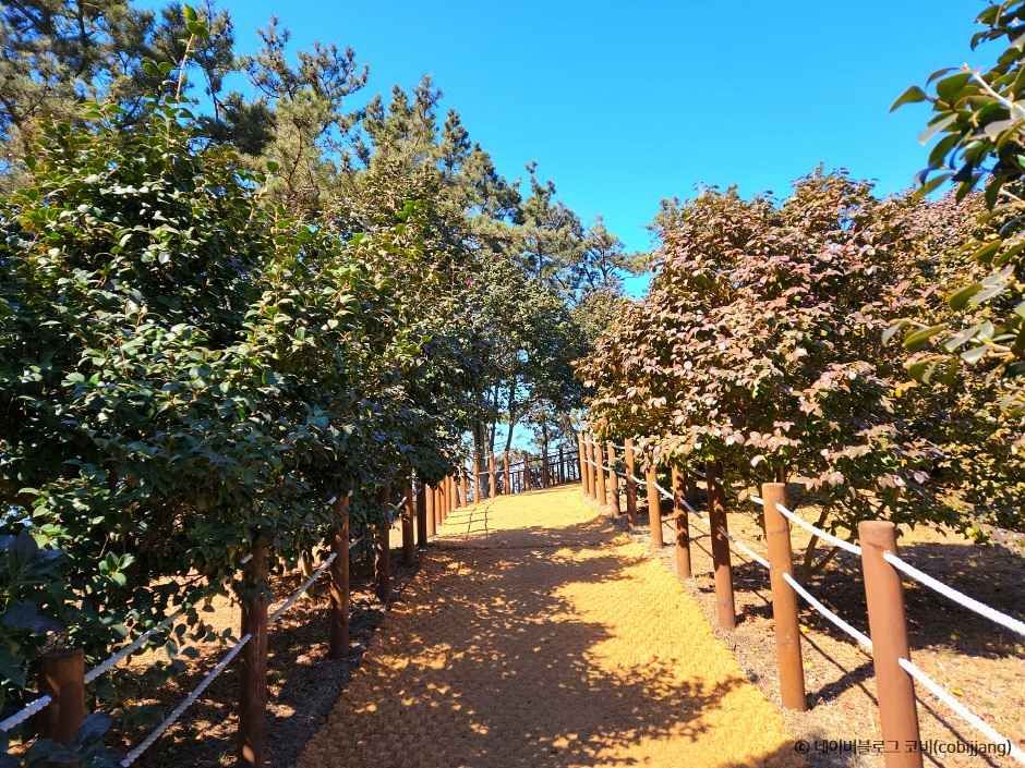 서천 가볼만한곳 베스트10