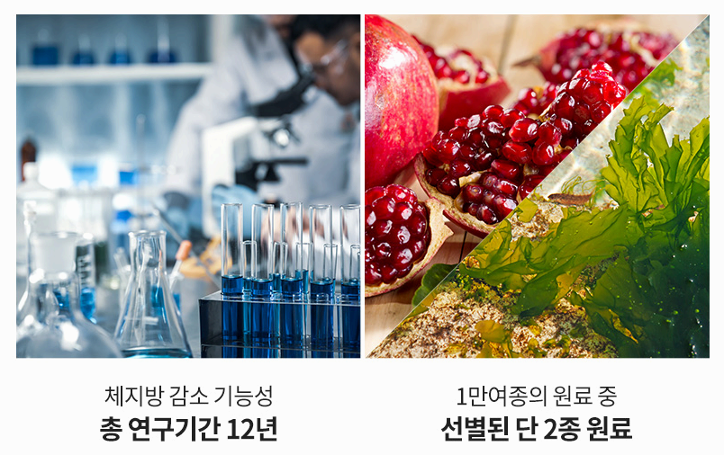 푸응 나이트버닝이 특별한 이유 사진