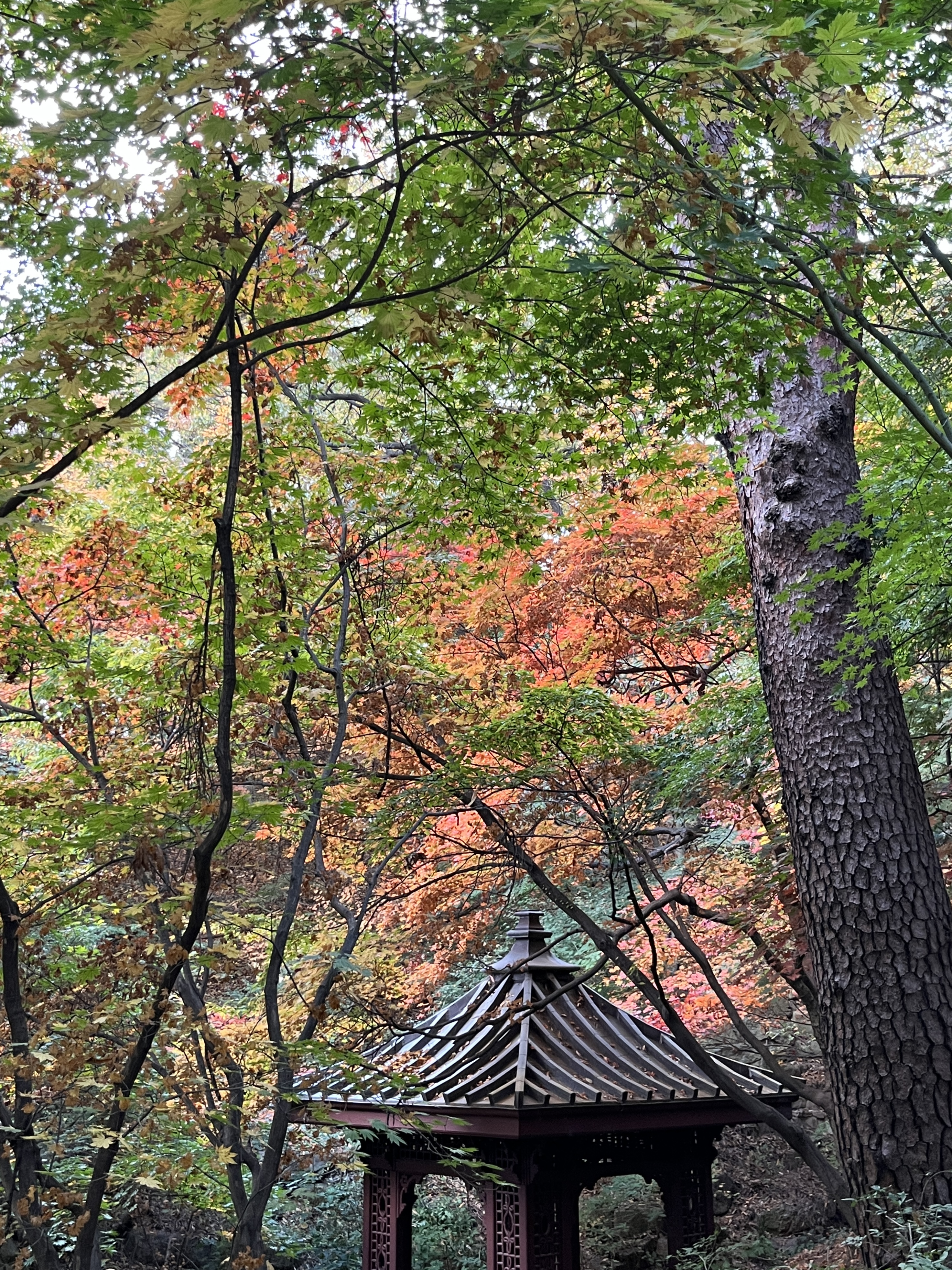 석파정