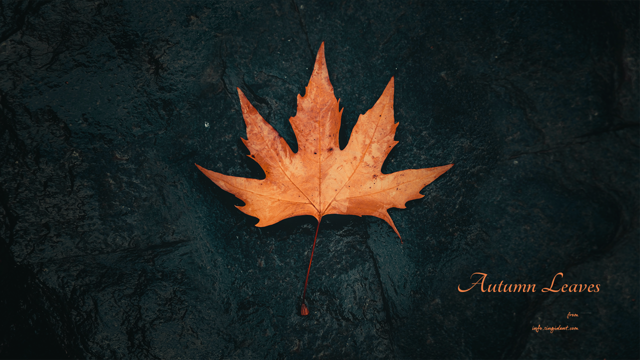 04 낙엽 C - Autumn Leaves 가을배경화면