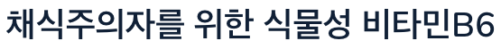 비타민B6 채식주의자를 위한 식물성 음식