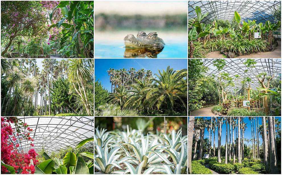 제주 한림공원 수국축제