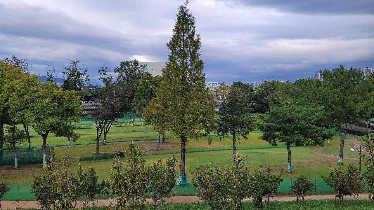 대구 달서구 대명천 수림지파크골프장 소개