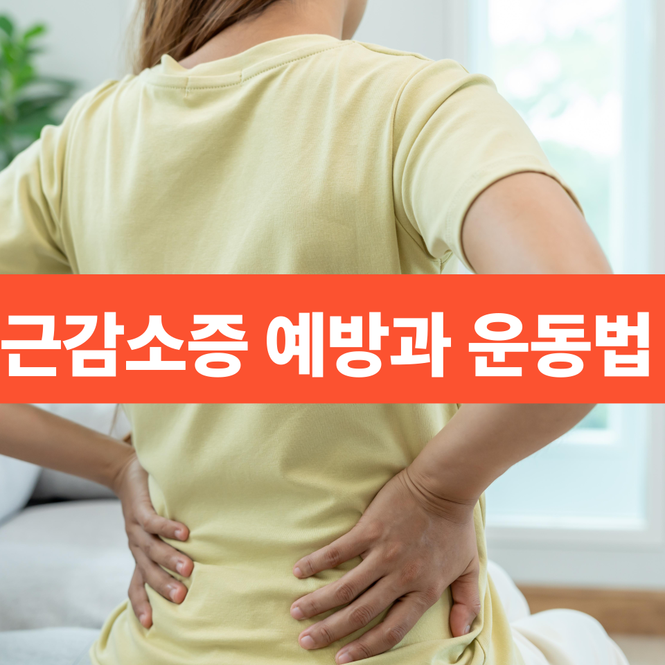 50대 이후 필수! 여름철 근감소증 예방 운동법