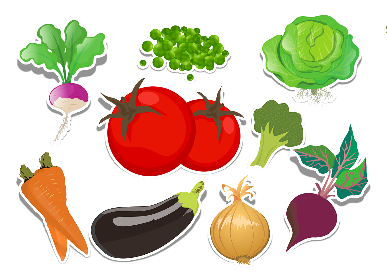 영유아 건강관리(영양소사진)