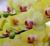 난나라 직거래 장터