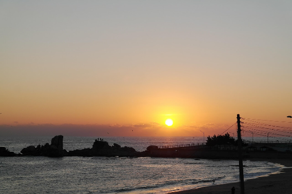 국내 피서지 관련 사진