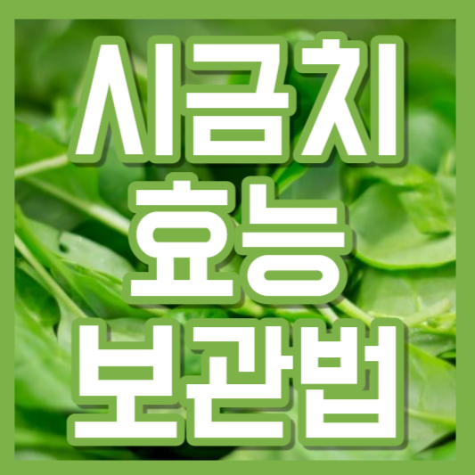 시금치 효능, 보관방법, 칼로리!?