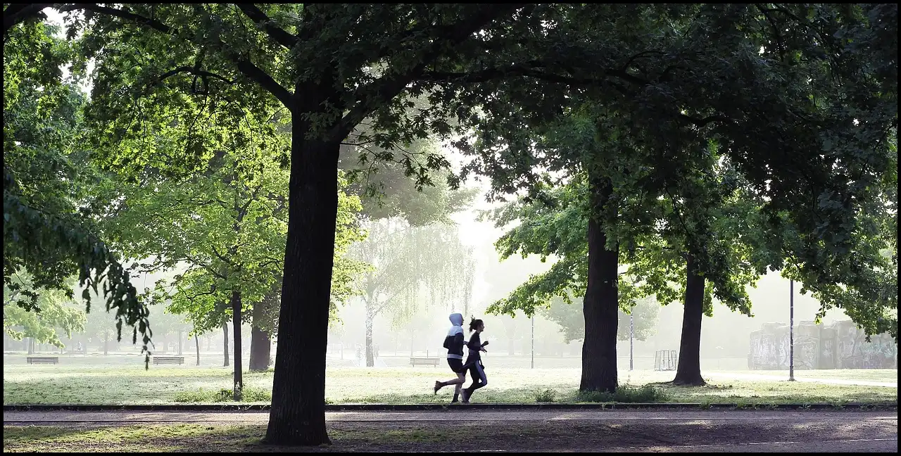 슬로우 조깅 건강법 방법과 효과 (kbs 생로병사의 비밀에서 나온 운동법)