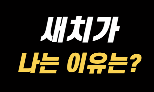 새치가 나는 이유는?