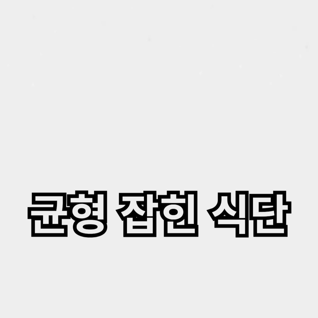 아침, 점심, 저녁: 균형 잡힌 식단으로 건강 유지하기