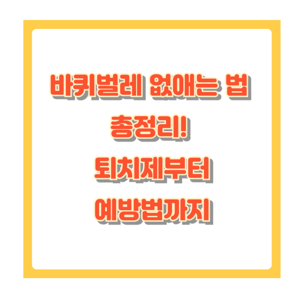 바퀴벌레 없애는 법! 퇴치하는 법과 예방법 총정리