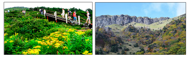 한라산 등산코스 (왼) 성판악 (오) 관음사