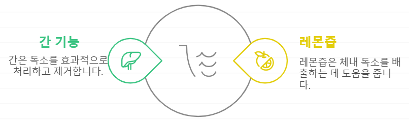 레몬즙 해독작용