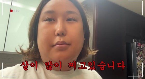 풍자 프로필