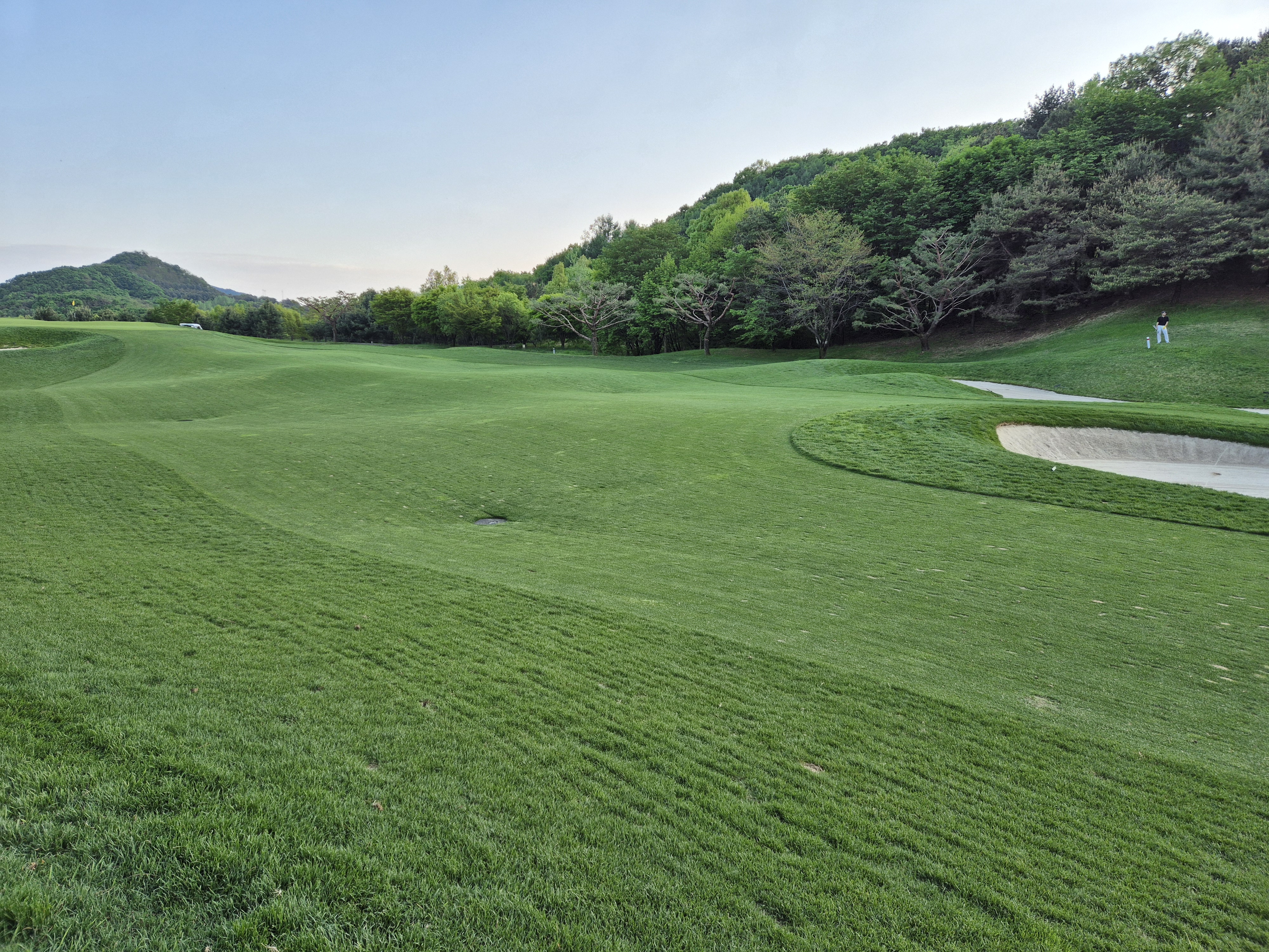 베어크리크cc 크리크코스