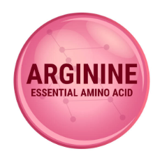 아르기닌 부작용, 아르기닌의 효능, 복용법 총정리 (2025ver)