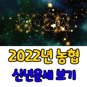 2022년-농협-신년운세-보는방법-썸네일