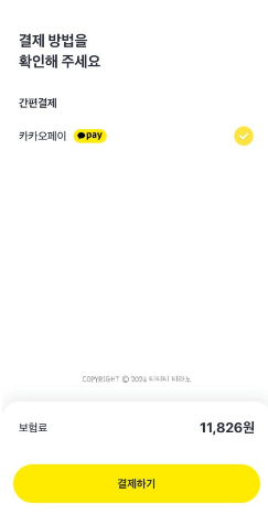 카카오페이해외여행자보험가입6