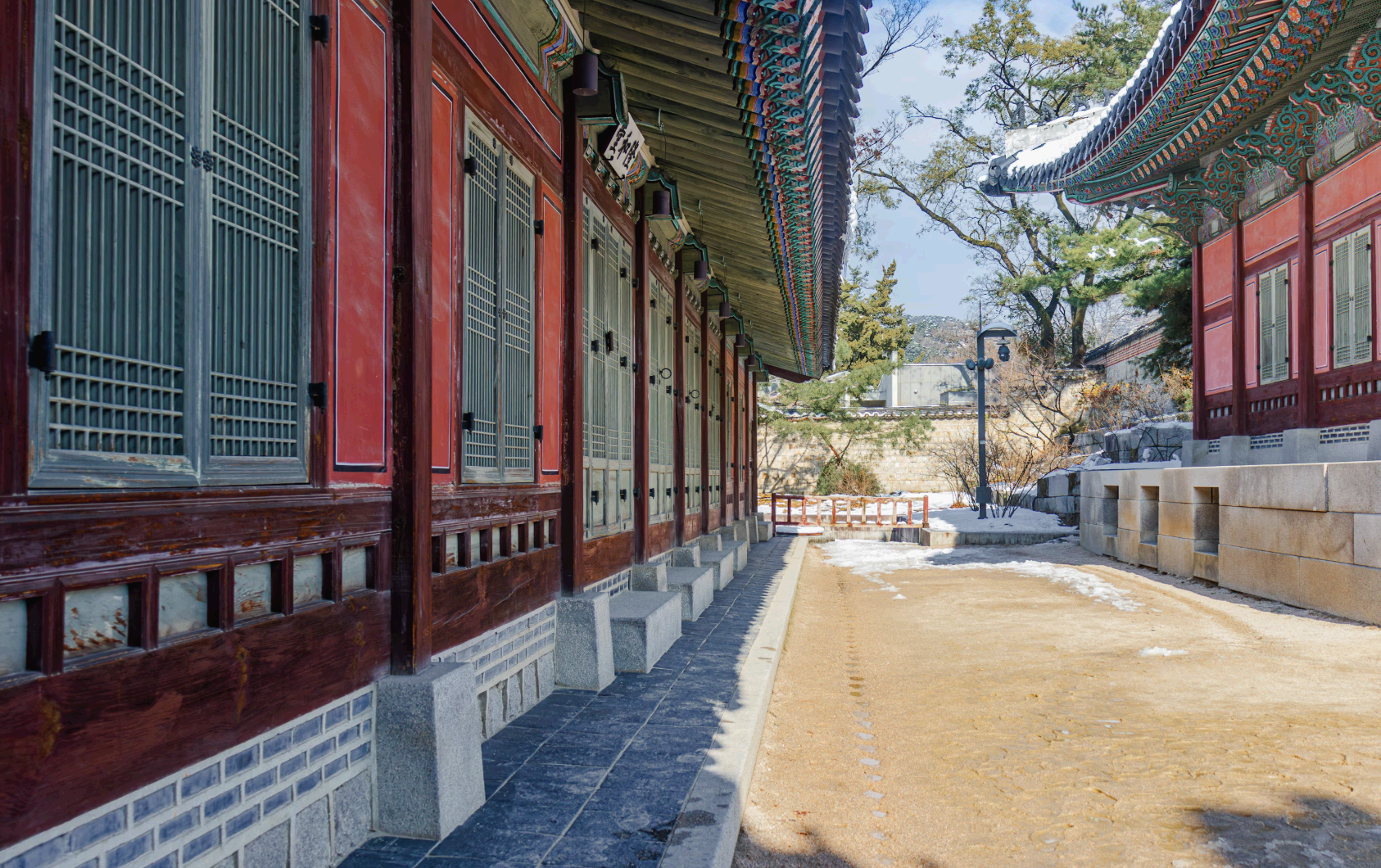 한옥에 쓰인 전통 목재의 종류와 특성 – 소나무, 느티나무, 황칠나무 등 목재별 기능