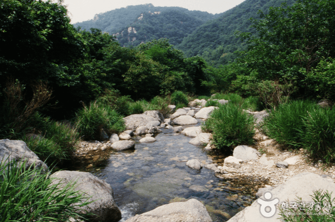 양평 사나사계곡